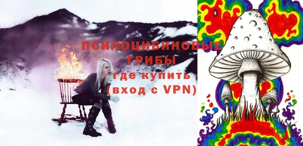 дживик Вязники