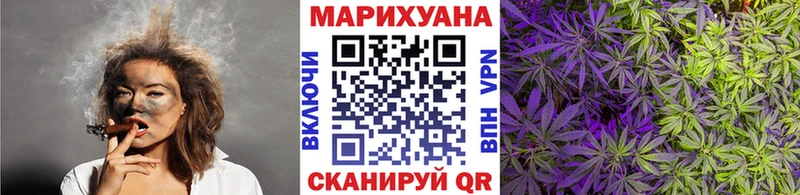 Каннабис семена Северская